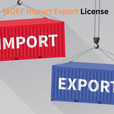 Top 10 Common Mistakes When Applying for MOEF Import Export Licenses